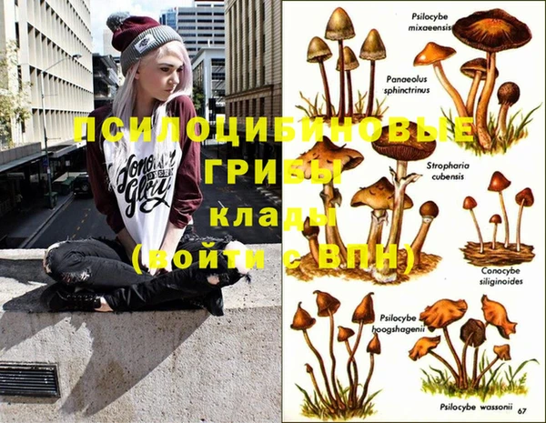 дмт Арсеньев