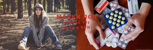 ПСИЛОЦИБИНОВЫЕ ГРИБЫ Армянск