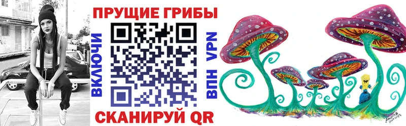 Купить где  Бежецк  Псилоцибиновые грибы Cubensis 